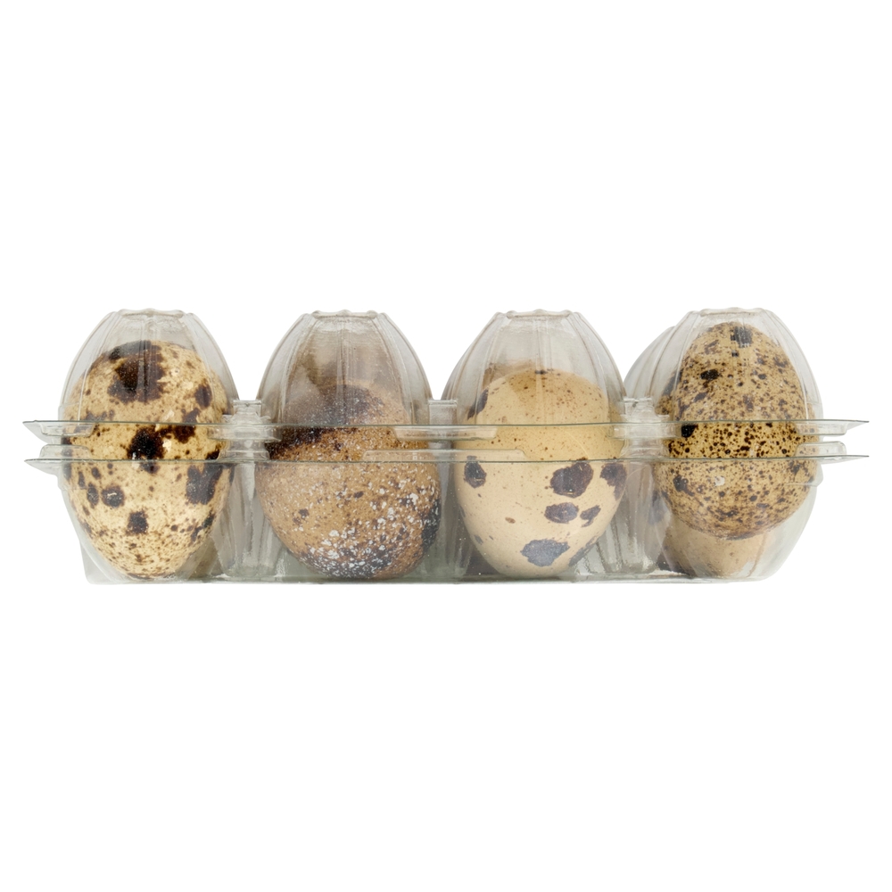 12 Uova Fresche di Quaglia